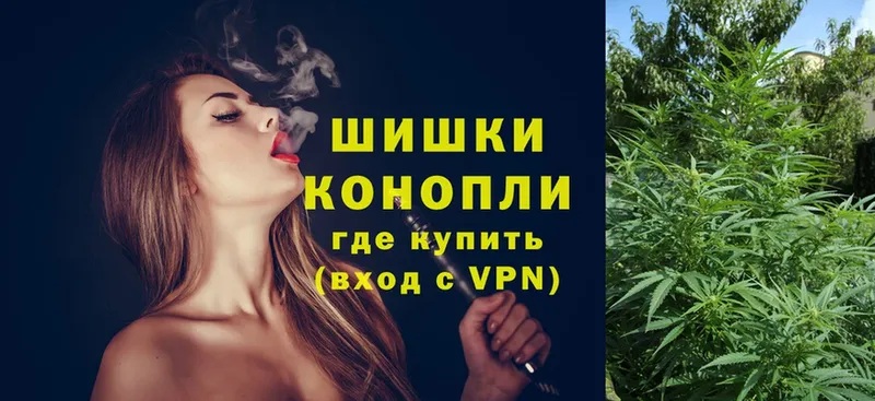 Бошки Шишки THC 21%  закладка  Сегежа 